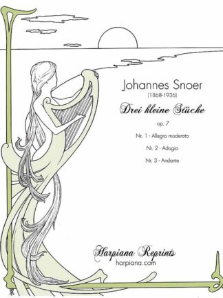 Snoer - Kleine Vortrags-Uebungen Op. 24 (29 little performance-studies)