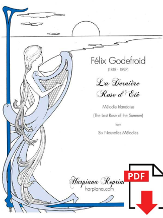 Godefroid-La-Derniere-Rose d'ete
